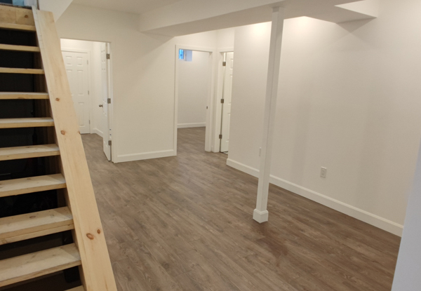Basement Renovation